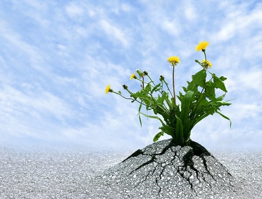 7 Ways to Build Resilience and Handle Challenges