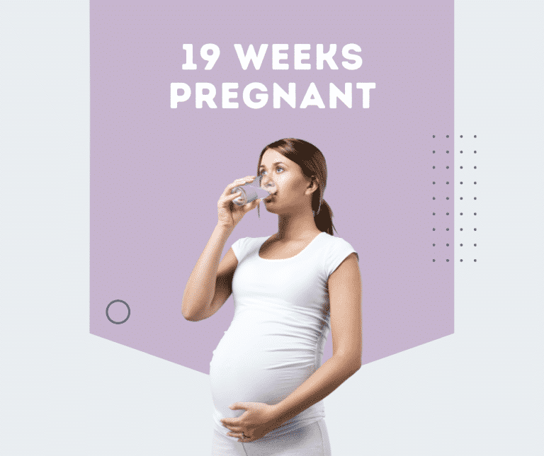 19 Weeks Pregnant: Signs, Tips, Symptoms, Baby’s Development