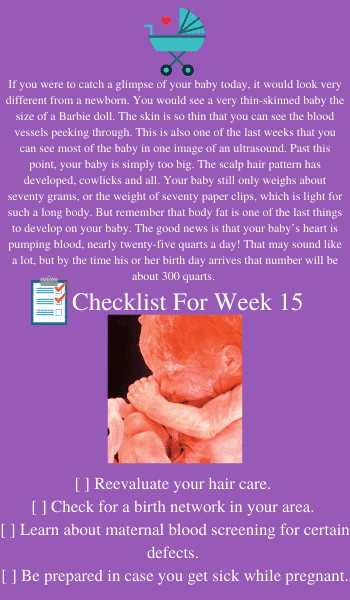 baby in utero at 15 weeks