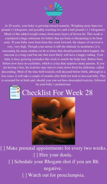 baby in utero at 28 weeks