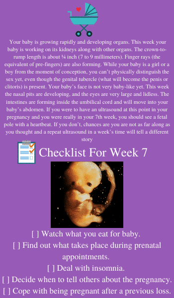 baby in utero at 7 weeks